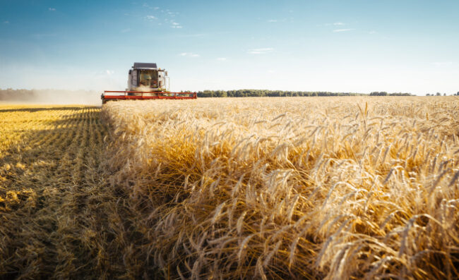 Je m'installe en agriculture - j'en rêve