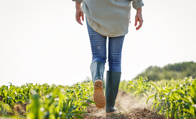 Construire un projet professionnel agricole est un processus au long court